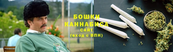 молекула духа Каменногорск