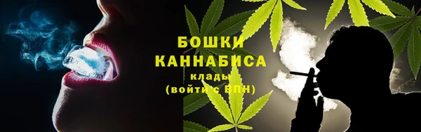 молекула духа Каменногорск