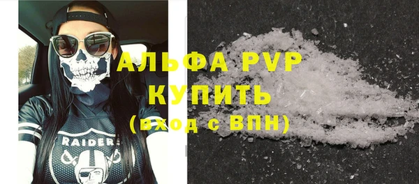 молекула духа Каменногорск