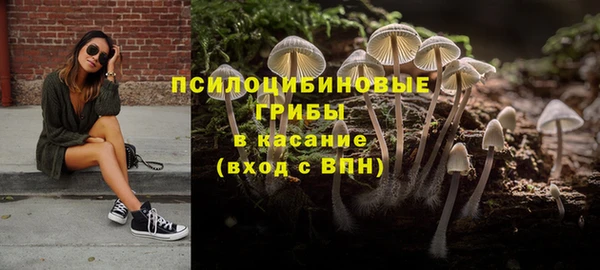 молекула духа Каменногорск