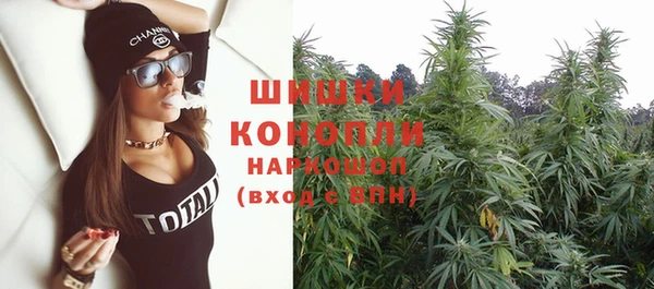 молекула духа Каменногорск