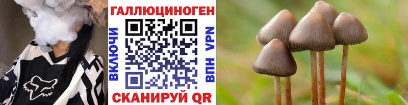 Купить  Белый  Псилоцибиновые грибы прущие грибы 