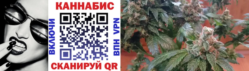 Купить  Белый  Шишки марихуана план 
